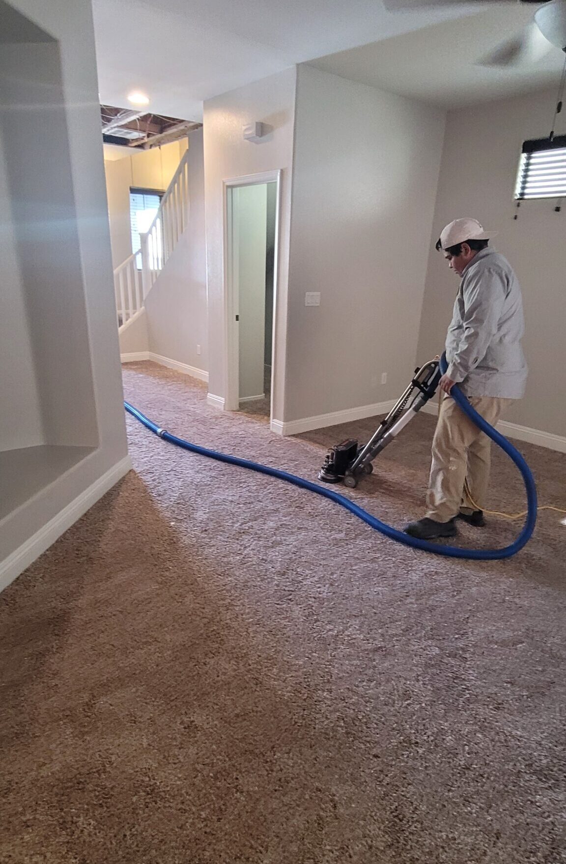 Carpet Cleaning